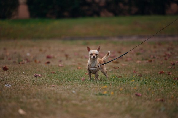 What Are the Latest UK Women Fashion Trends to Watch in 2024?